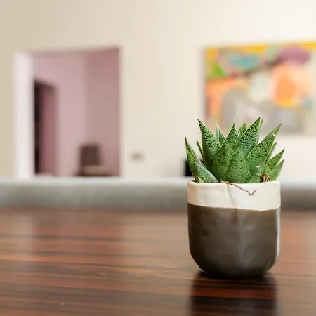 Apartman Plass, Majigs Dzivoklis Centra *